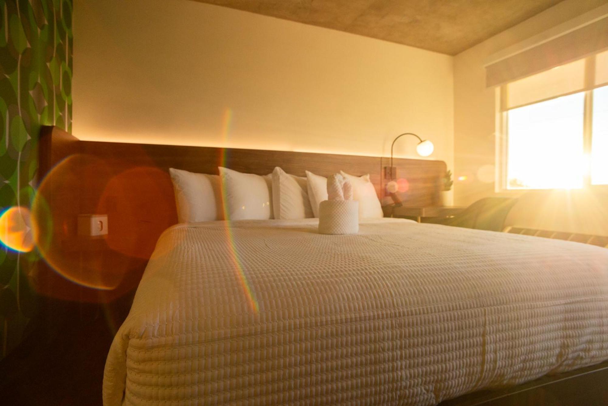 The Alice Hotel ทูซอน ภายนอก รูปภาพ